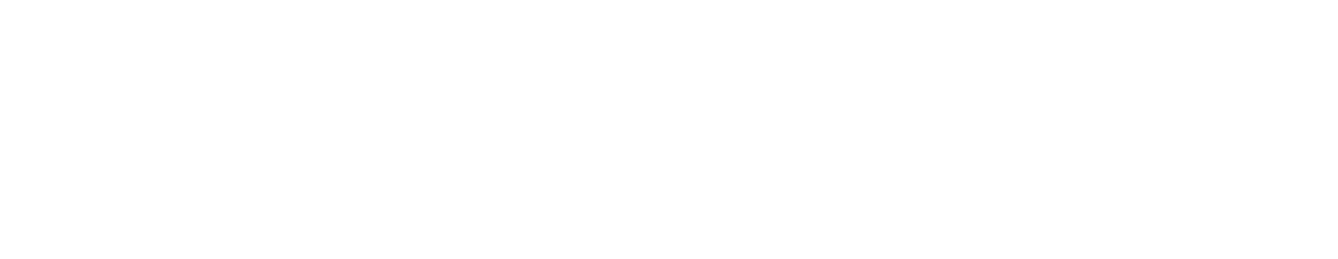 Segsat